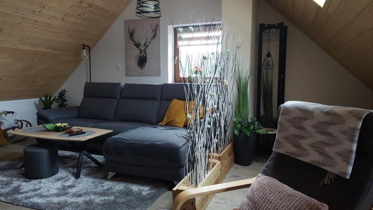 Apartman Pod Smrcinou Vaclavov u Bruntalu Zewnętrze zdjęcie